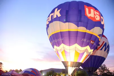 DSC_2385 (Large).JPG